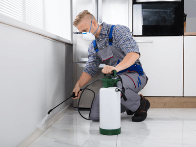 About Nest Haven Control - pest control experts in Pacifica
